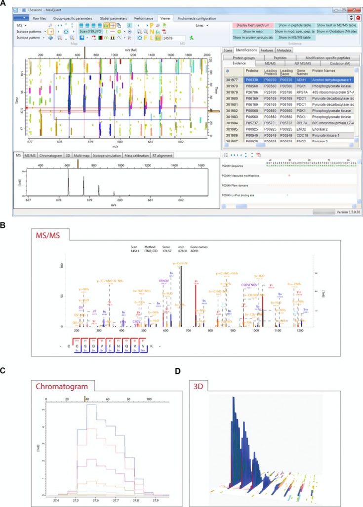 Visualization of LC-MS/MS proteomics data in MaxQuant. 